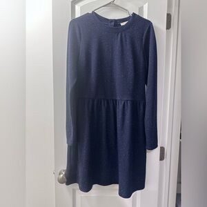 LOFT Navy Blue Long Sleeve Dress
